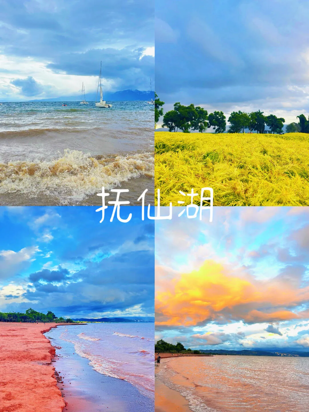 b77d86d8da6cd6c204cd74b32ff322a5-sz_2702823