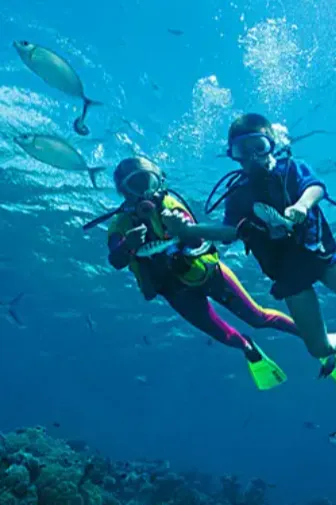 b7e7a88a4672915420d9ee9404494942-sz_236078 b7e7a88a4672915420d9ee9404494942-sz_236078