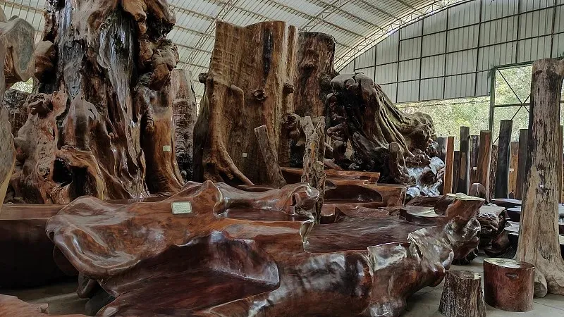 b7eaccb897b2b8dede1681202267d64c-sz_387550 b7eaccb897b2b8dede1681202267d64c-sz_387550