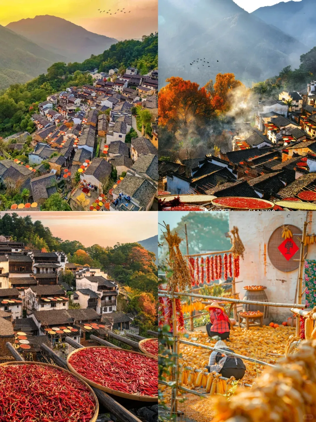 b839fd7e44bd3db5368be28c9e2a2a38-sz_3692500-1