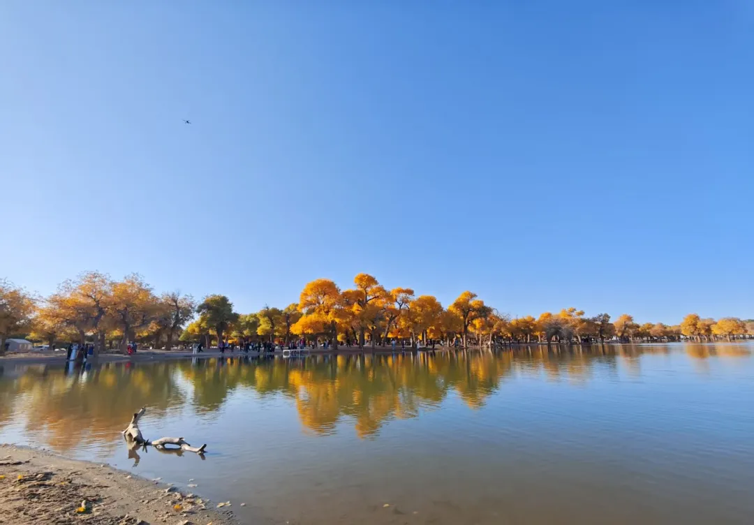 b854e88bf7058eee31fb389822e960b6-sz_213401