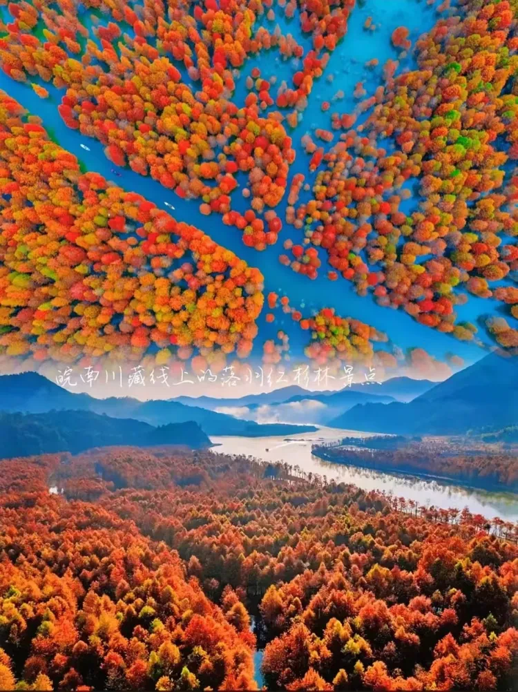 b86f03526bb1e40b5fe71313e3987b4a-sz_4157329