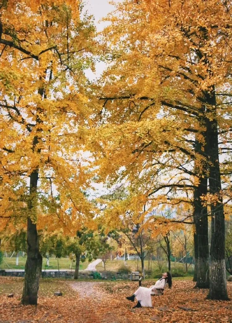 b8a94749f946bcb99622cb0d4ea4595a-sz_4234016 b8a94749f946bcb99622cb0d4ea4595a-sz_4234016