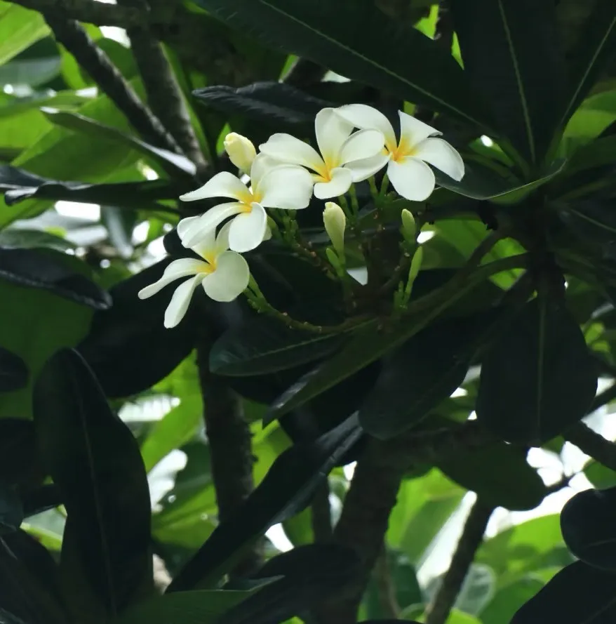 b9281acb1ace46da1326516db87262c4-sz_119411 b9281acb1ace46da1326516db87262c4-sz_119411