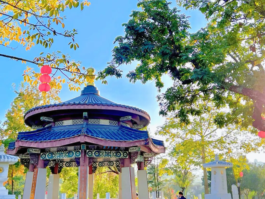 b93db0d6bba27f424eb4332692ae70d0-sz_3113116-2