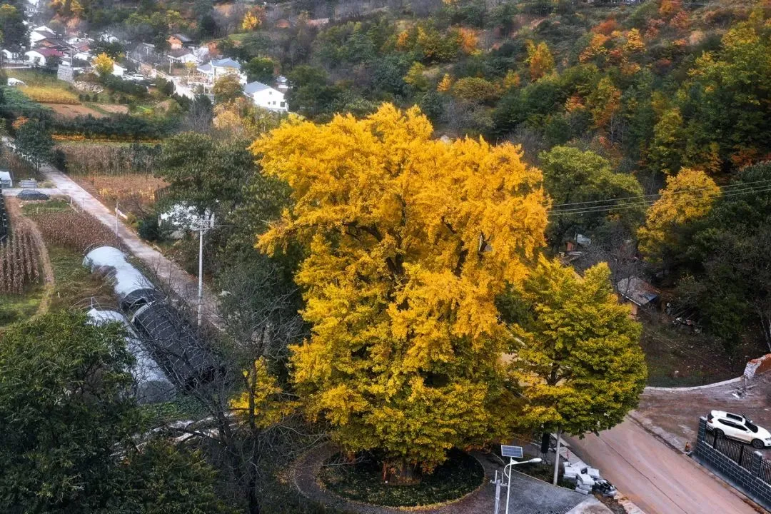 b9c614a1552ea9ebb9fb3bb64b1be8c0-sz_235146 b9c614a1552ea9ebb9fb3bb64b1be8c0-sz_235146