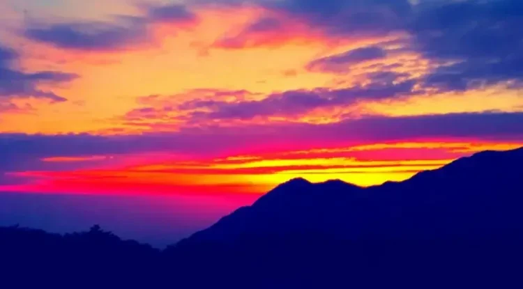 b9df045f84b9f56ec25a9040d2bc696b-sz_553424