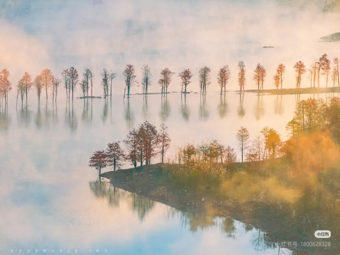 b9e2111b87fd7931f7fb73af4644663c-sz_613707-1