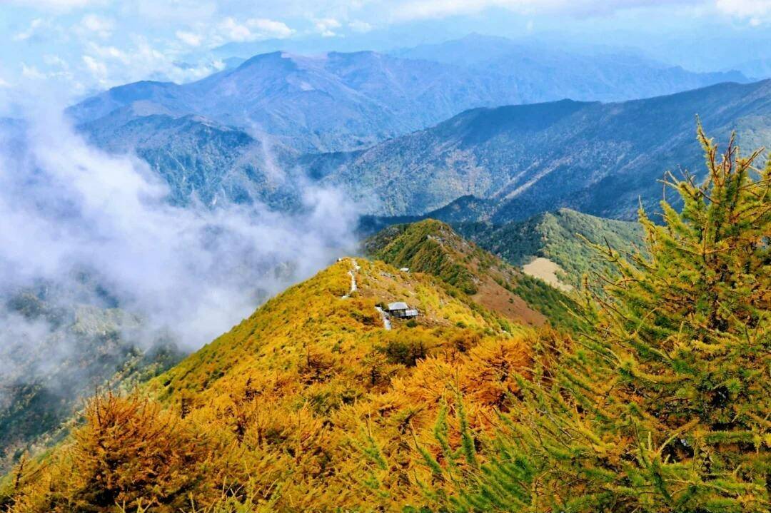 bBmRCuVmHRWLcyis bBmRCuVmHRWLcyis