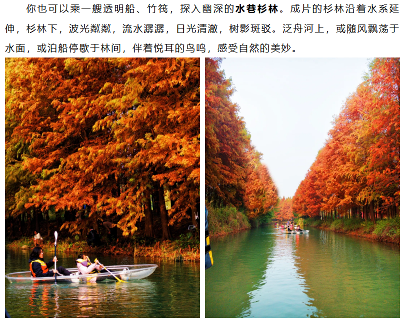 ba0b2aef3dd9d81aad88575e73975058