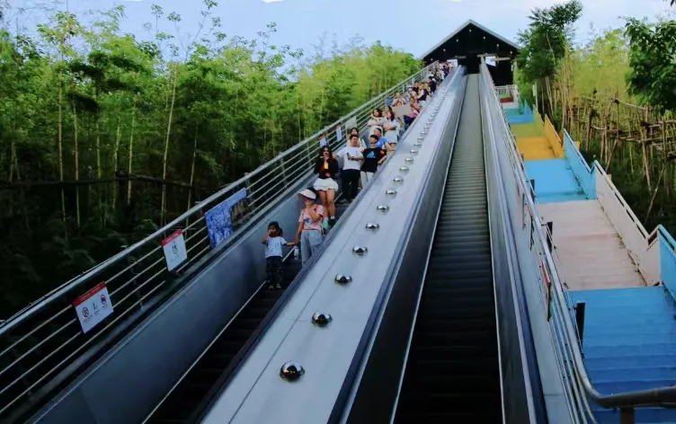 ba33e4d390ce0525c4433a7584080388-sz_844250-1