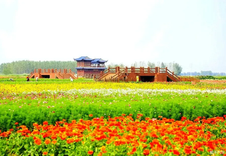 ba3b8267f373bd712765a984d010984a-sz_766821