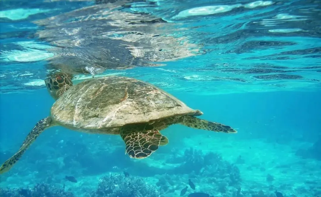 baa5e8576a3fbe5f6a28ea8b239877d8-sz_139218 baa5e8576a3fbe5f6a28ea8b239877d8-sz_139218