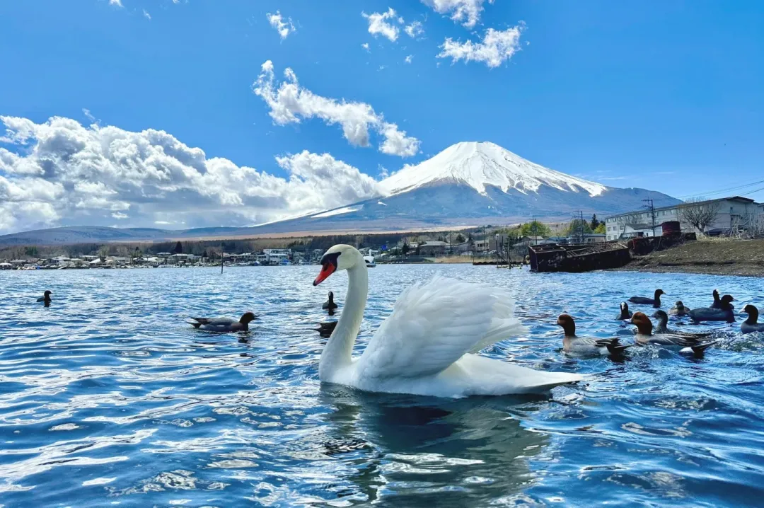 baeb61e45a15ac627d04479eb25c3576-sz_469426 baeb61e45a15ac627d04479eb25c3576-sz_469426