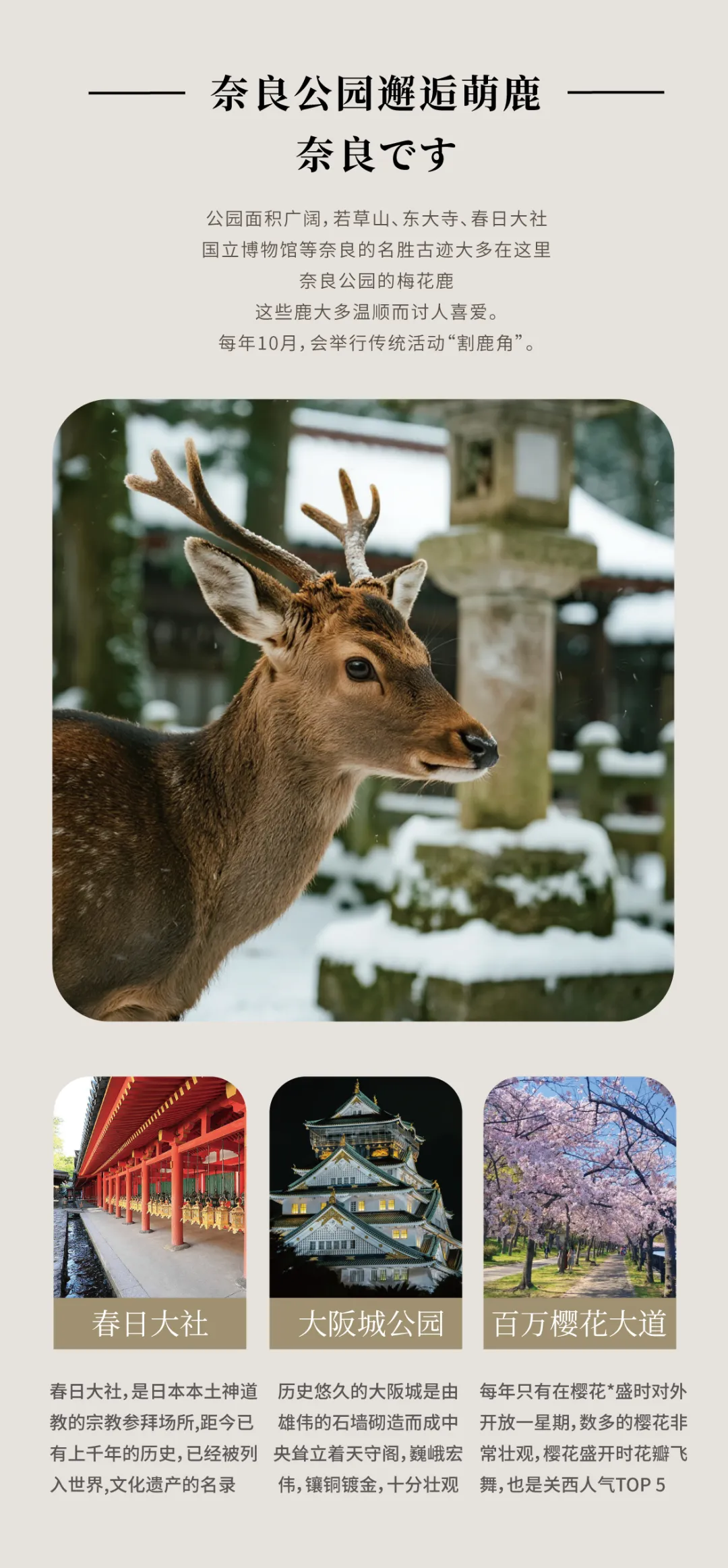 bb0d69d8c3f98dbfe09af0c30d561170-sz_1338031 bb0d69d8c3f98dbfe09af0c30d561170-sz_1338031