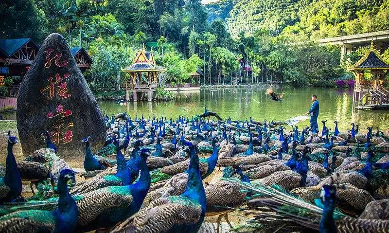 bba18301aec9ed10a99684cf3bb383f3-sz_136484