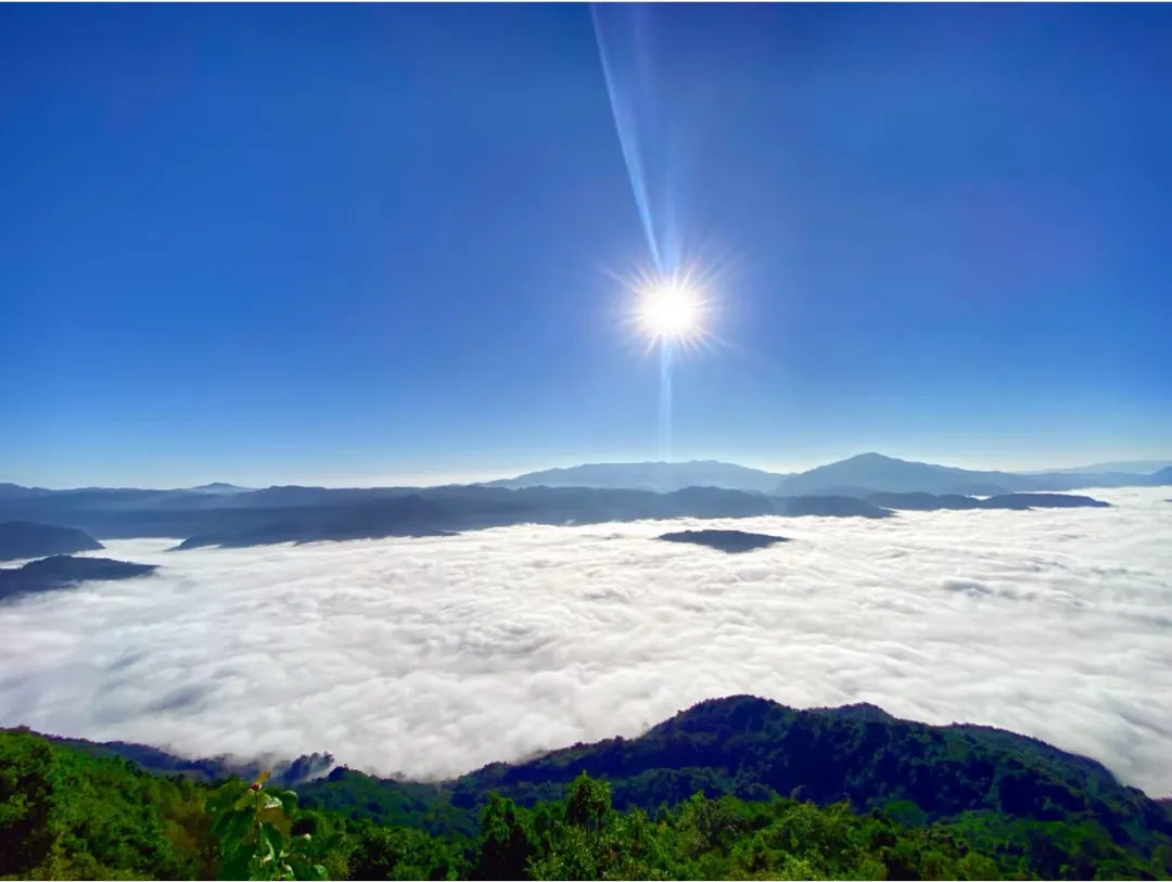 bc3e17ecceb5c637fdc2dec6bc443bf9-sz_223462 bc3e17ecceb5c637fdc2dec6bc443bf9-sz_223462