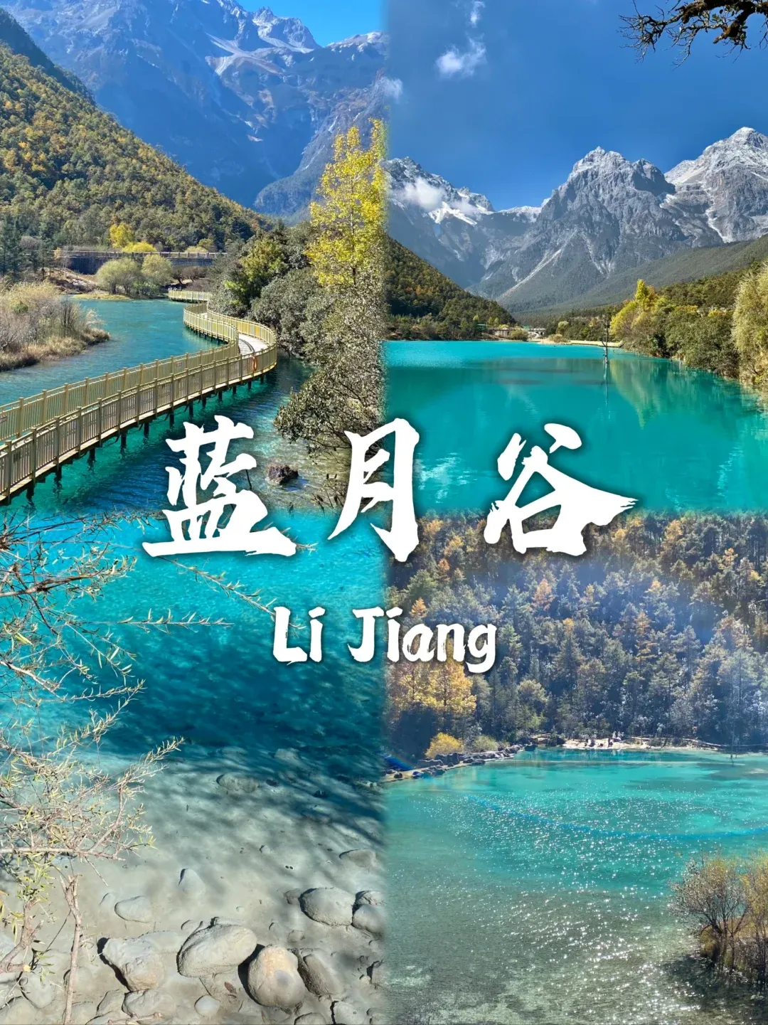 bc49e86fd2e87583e8dabcb8b06720ed-sz_3522807