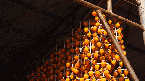 bc952af711ead471820e9c18b3e343b6-sz_1441075 bc952af711ead471820e9c18b3e343b6-sz_1441075