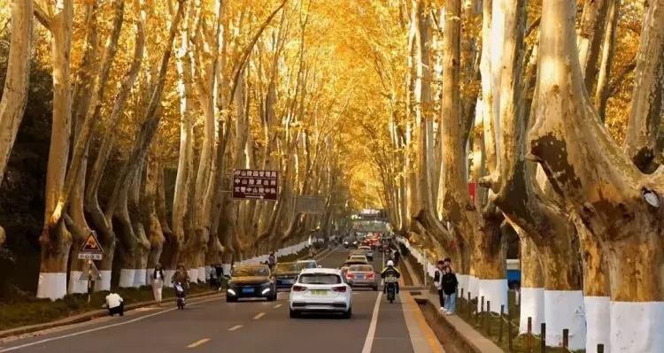 bd650be555c573130b38704c392ace82-sz_151118 bd650be555c573130b38704c392ace82-sz_151118