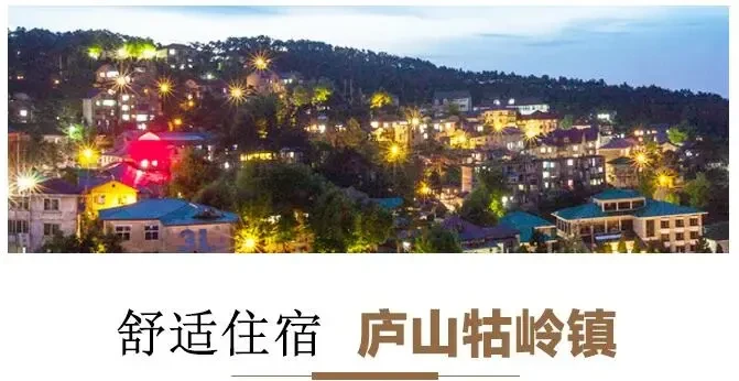 be3599104d0c3f63b0616046b6d09221-sz_313326