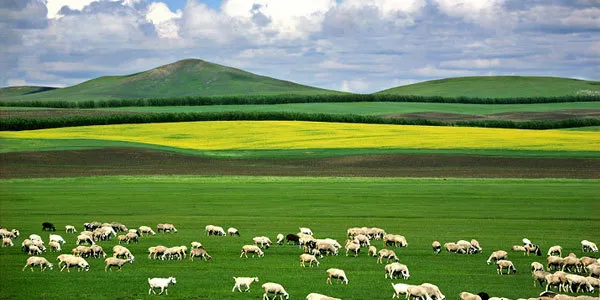 be777406f96e53fbcee65544810f3833-sz_58506 be777406f96e53fbcee65544810f3833-sz_58506