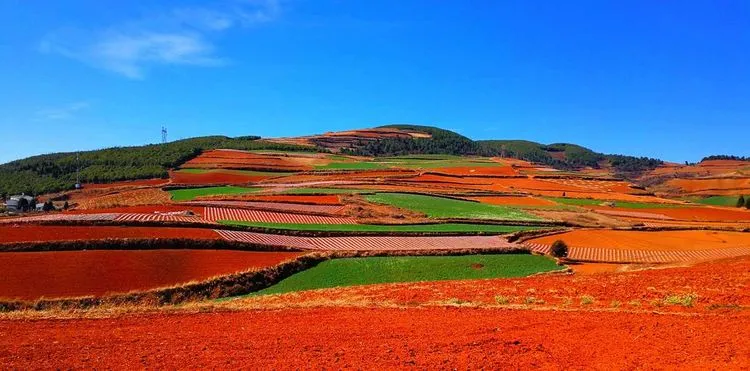 be91d8de0827ee4d3987ecd0b1814b8e-sz_62953 be91d8de0827ee4d3987ecd0b1814b8e-sz_62953