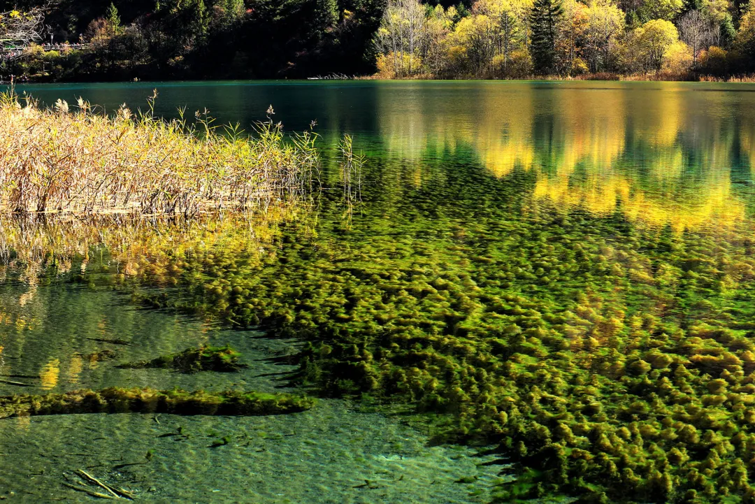 be95ca7e0d39d6af52693de5e9d8a377-sz_1508846 be95ca7e0d39d6af52693de5e9d8a377-sz_1508846