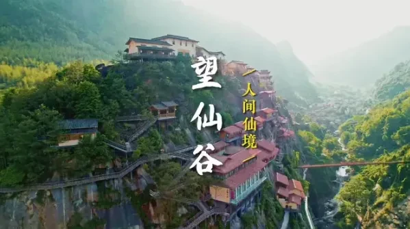 bea7b9ee319c515b162c09b7cbefcf48-sz_339888 bea7b9ee319c515b162c09b7cbefcf48-sz_339888