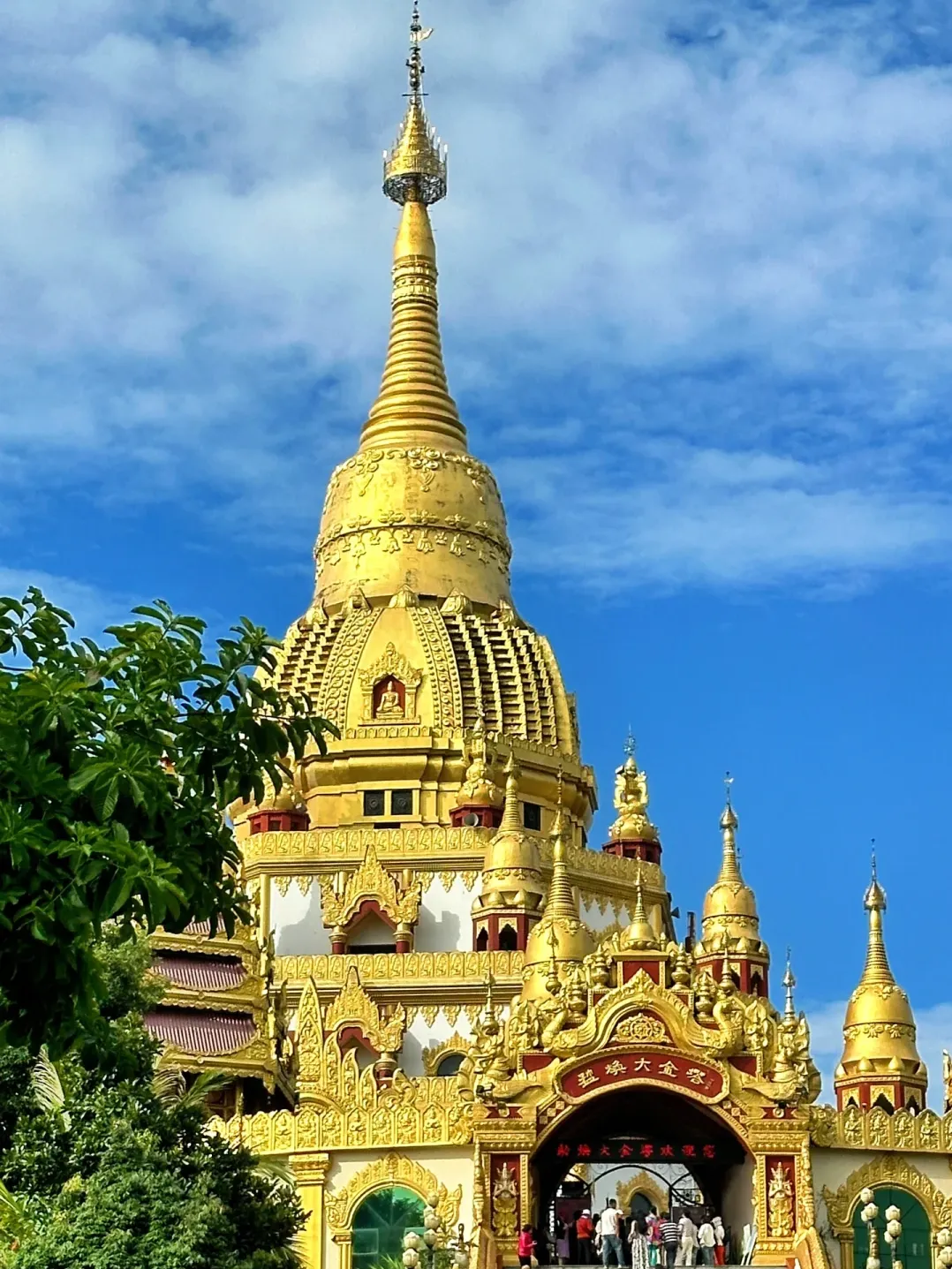 bf4421adee573667e6b0aae449d1606a-sz_4270577