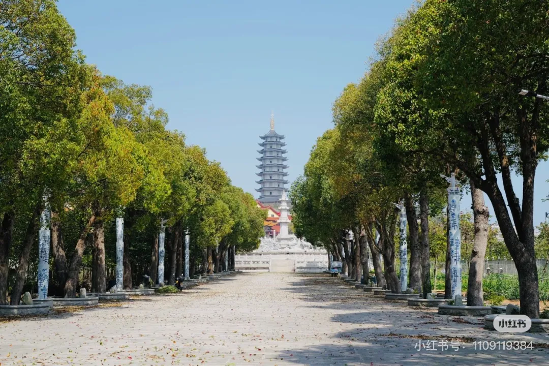 bf800e4d1a5e86570fe68862d0bbeb6f-sz_522614 bf800e4d1a5e86570fe68862d0bbeb6f-sz_522614