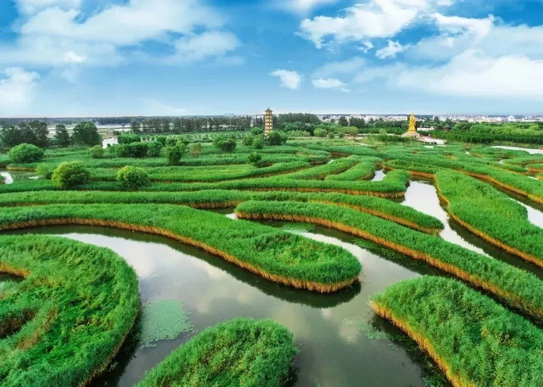 bfad524e99ba57259dd8da68b3135b7d-sz_1905748-1 bfad524e99ba57259dd8da68b3135b7d-sz_1905748-1