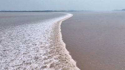 c0540060cc76b4b437d0c84899a0b96f-sz_4246025