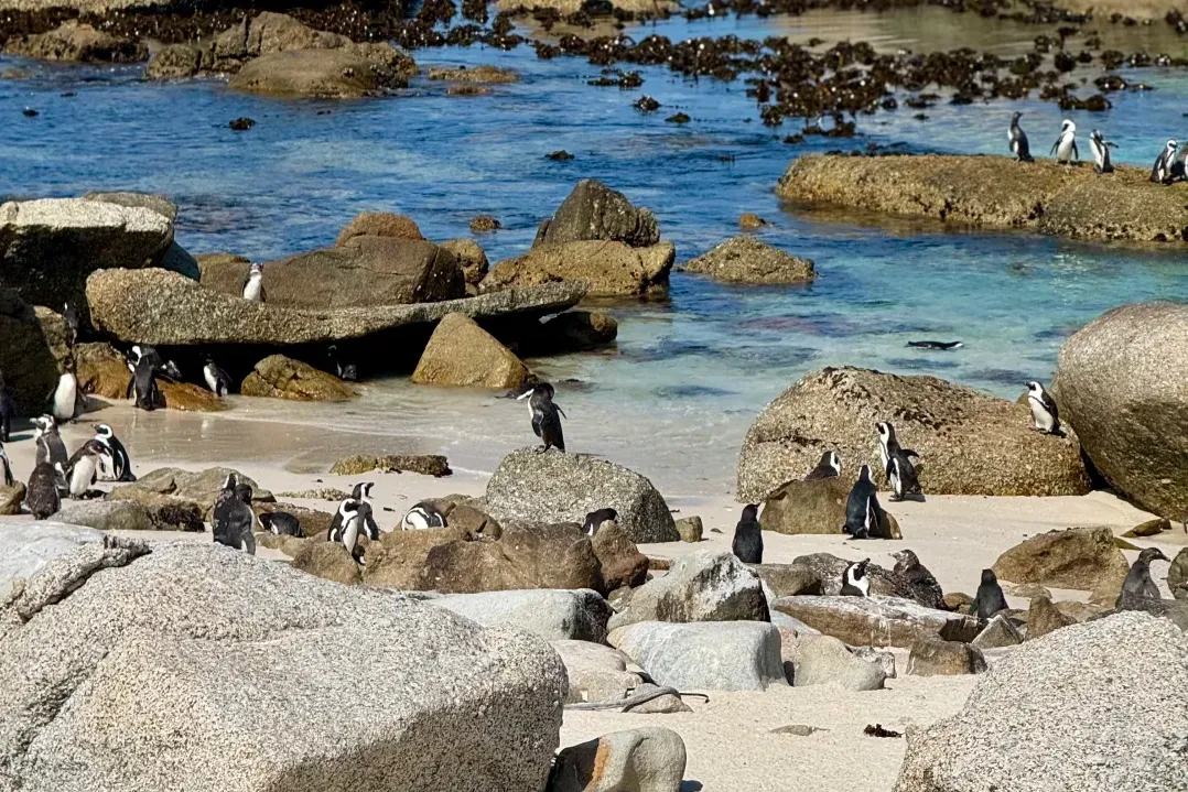 c06f67ed04703e6f268c4e1974868330-sz_3009585 c06f67ed04703e6f268c4e1974868330-sz_3009585