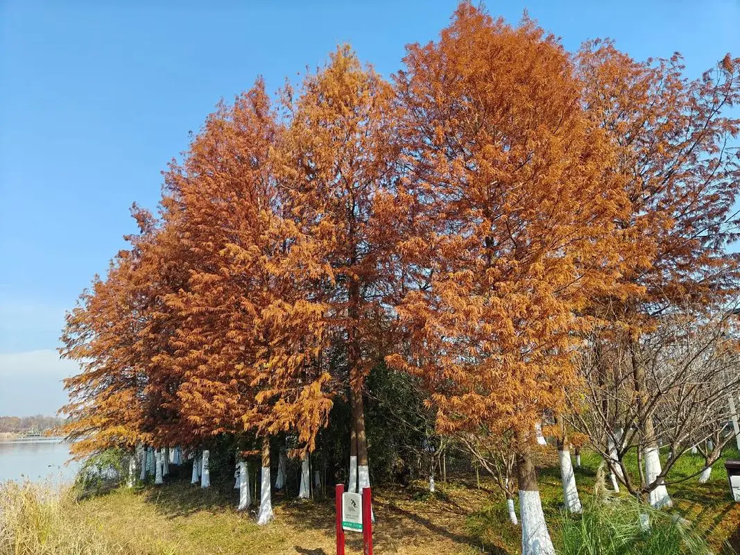 c0d1790989a6304ce361d87c23ccf7bd-sz_272359 c0d1790989a6304ce361d87c23ccf7bd-sz_272359