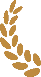 c0e5ed8ab0d8ec4c0628332e2ca6adcd-sz_2336-8 c0e5ed8ab0d8ec4c0628332e2ca6adcd-sz_2336-8