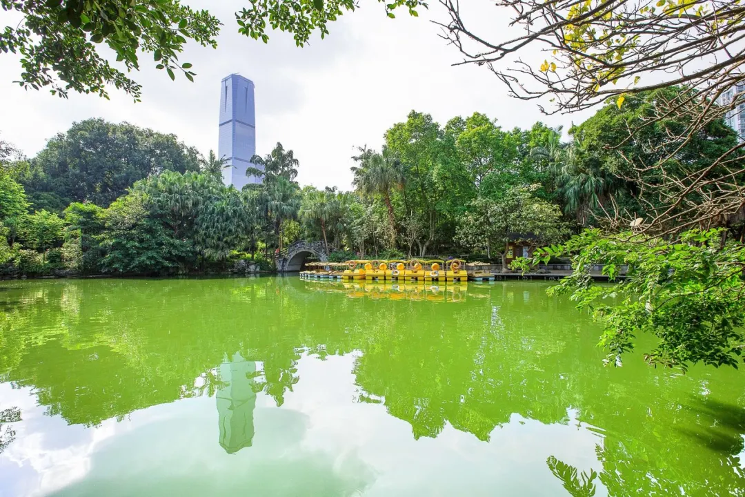 c15504dd219cc870d76016746140d415-sz_481472 c15504dd219cc870d76016746140d415-sz_481472