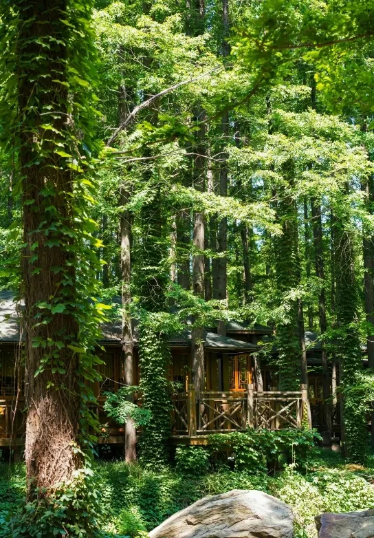 c18078dd2880701610ee43358a6d05fc-sz_488108 c18078dd2880701610ee43358a6d05fc-sz_488108