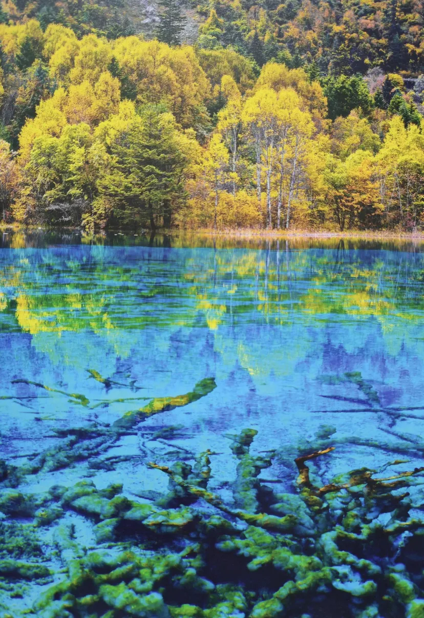 c1b8c91c3070ad4af863e8b2100251e8-sz_2976459 c1b8c91c3070ad4af863e8b2100251e8-sz_2976459