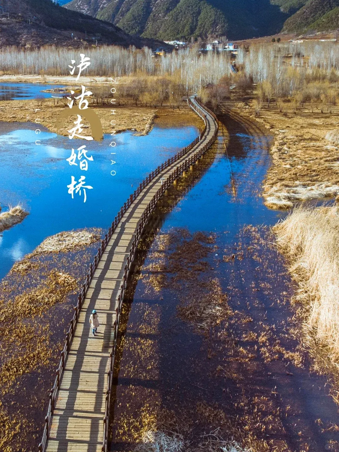 c1fc44fb41c45997ac7d74a9e2295203-sz_4083611