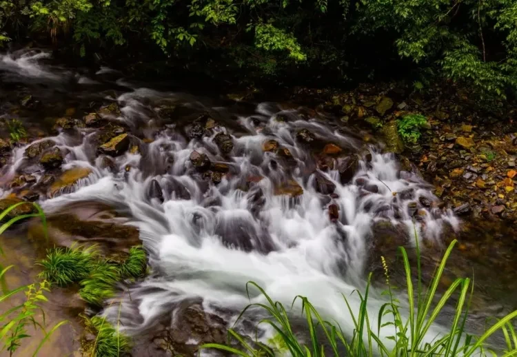 c1fdabc2c3724deea0939de7e6064883-sz_164103 c1fdabc2c3724deea0939de7e6064883-sz_164103