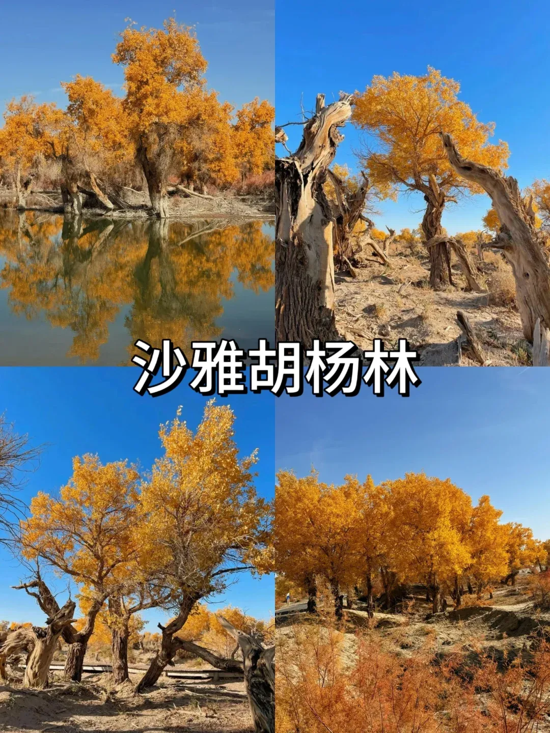 c1fdcffde7bf591718dd8d314ce87aeb-sz_2721072 c1fdcffde7bf591718dd8d314ce87aeb-sz_2721072