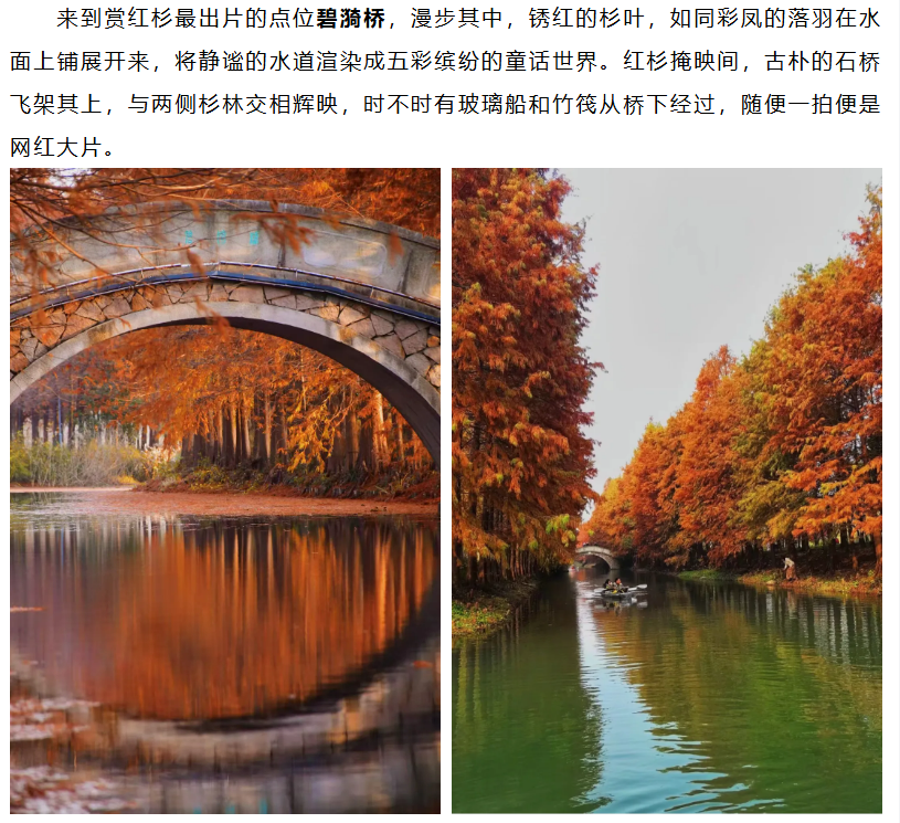 c1fea3d814494bcbf92321d8b779a5be