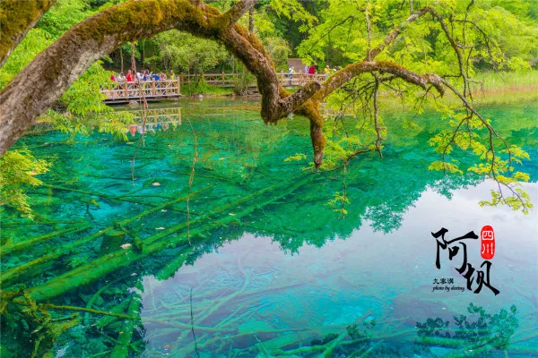 c2be0c7d9977cd89582a34204f195bee-sz_171209