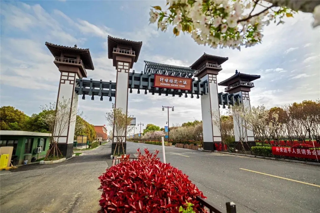 c2fe3671e54c0c50b682230011720618-sz_1798821 c2fe3671e54c0c50b682230011720618-sz_1798821