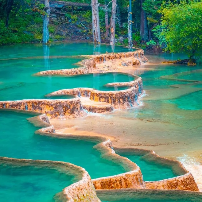 c314971e2cf103b463eb845207cf1295-sz_393968 c314971e2cf103b463eb845207cf1295-sz_393968