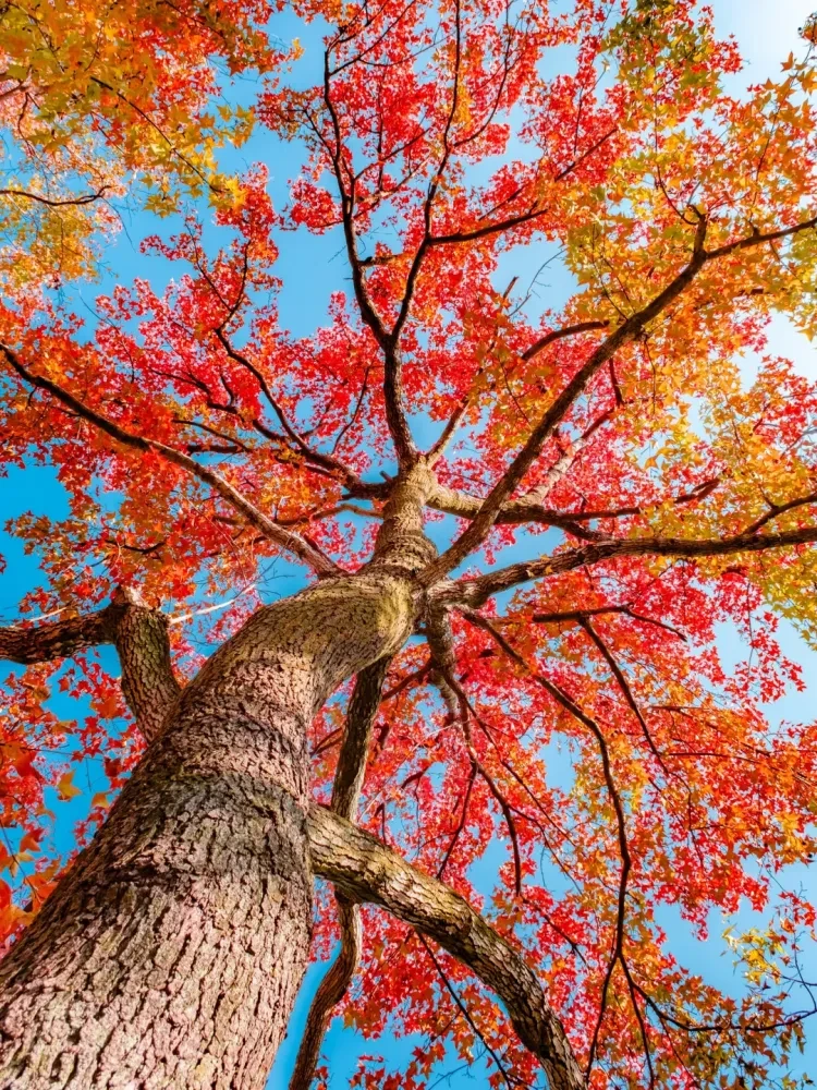 c34f881db3d7a216b0daaa04c9c1a952-sz_4405983 c34f881db3d7a216b0daaa04c9c1a952-sz_4405983