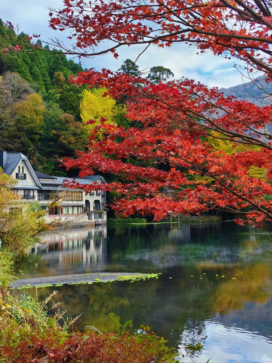 c3cb3671b84087ae0fbb20e20c40d1d7-sz_3862543-1 c3cb3671b84087ae0fbb20e20c40d1d7-sz_3862543-1