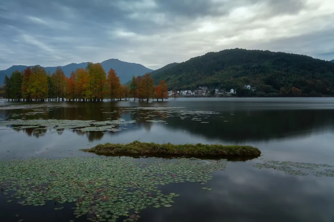 c3d665cd3d477703c6b1437ba53e6c98-sz_759866 c3d665cd3d477703c6b1437ba53e6c98-sz_759866