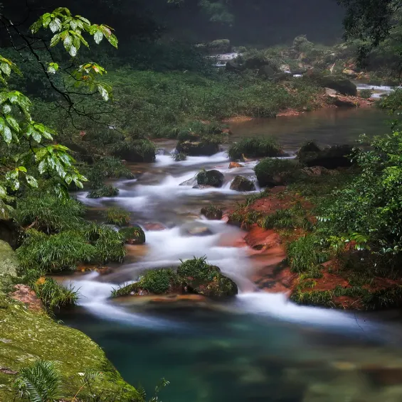 c3e87f9526a4483b5db68c9196113b1e-sz_775549 c3e87f9526a4483b5db68c9196113b1e-sz_775549